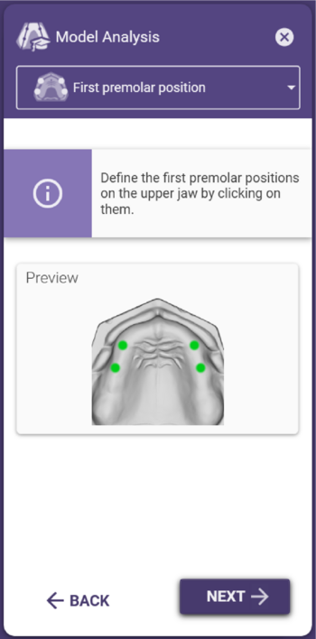 Full model premolar position.png