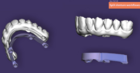 DentalCAD 3.3 Chemnitz - Split denture