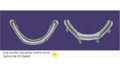 Thumbnail for version as of 15:23, 26 September 2025