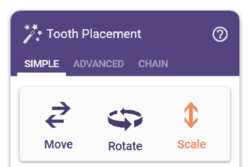 ToothPlacement scale .png